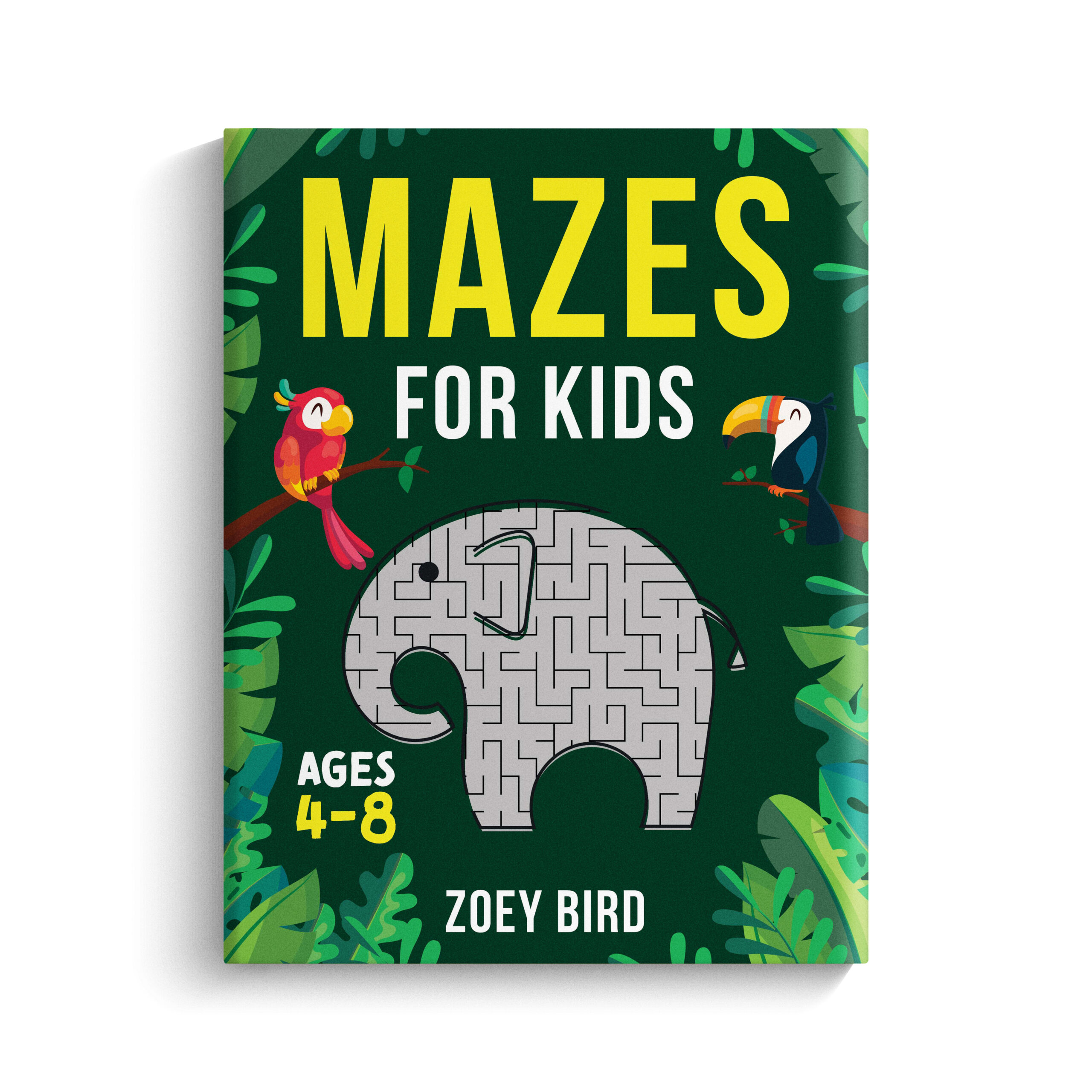 Mazes for Kids Volume 2