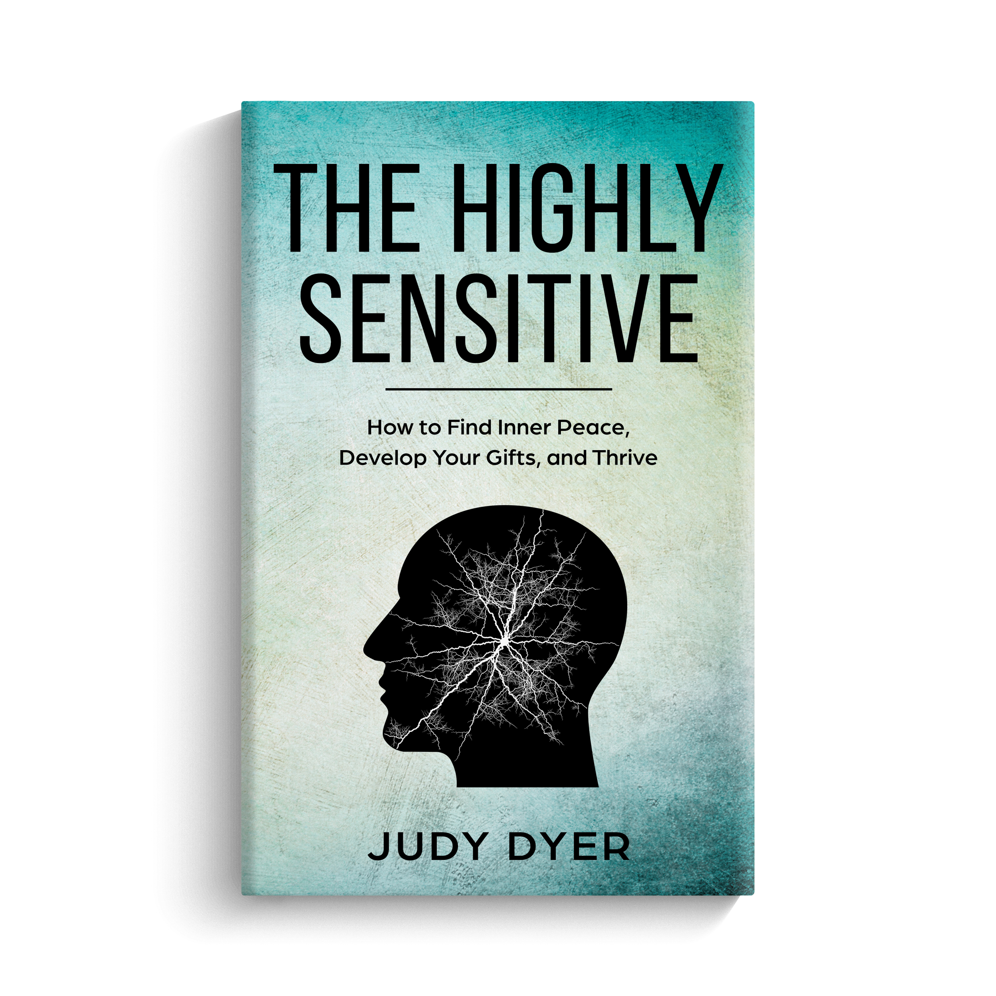 The Highly Sensitive by Judy Dyer